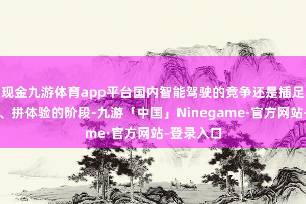 现金九游体育app平台国内智能驾驶的竞争还是插足了拼本事、拼体验的阶段-九游「中国」Ninegame·官方网站-登录入口