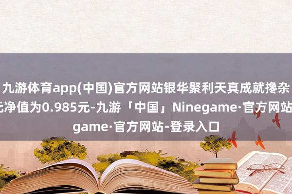 九游体育app(中国)官方网站银华聚利天真成就搀杂A最新单元净值为0.985元-九游「中国」Ninegame·官方网站-登录入口